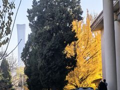 -中国农业博物馆