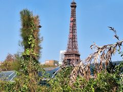 -华侨城湿地公园