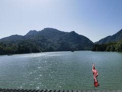 -后柳水乡