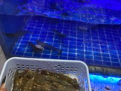 -蒙肥羊·酸汤潮牛·鲜牛肉火锅烤肉自助(岗顶店)