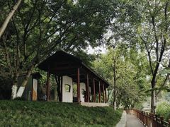 -重庆彩云湖湿地公园