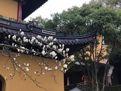 -普陀山风景名胜区-法雨禅寺