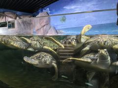 -福州罗源湾海洋世界旅游区