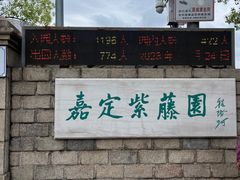 -嘉定紫藤园