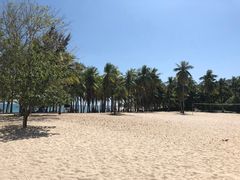 -半山半岛洲际度假酒店·观海廊