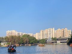 -荔湾湖公园