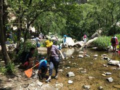 -碓臼峪自然风景区