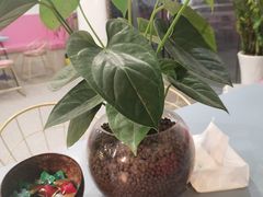 -一鸣真鲜奶吧(龙江地铁站店)