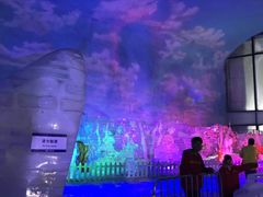 -世界之窗阿尔卑斯冰雪世界