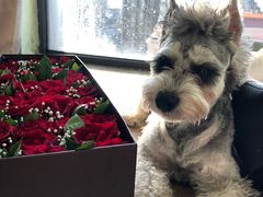 -大鸭梨烤鸭(枣园店)