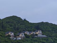 -东澳岛