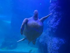 -左海海底世界