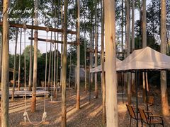 -桉树林A coffee 森林餐厅(三圣乡店)