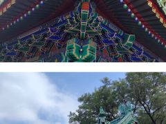-颐和园