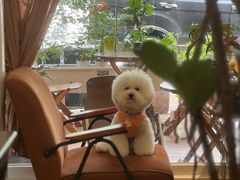 -echoes coffee回响咖啡(红山店)