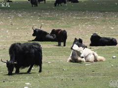 -天山神秘大峡谷