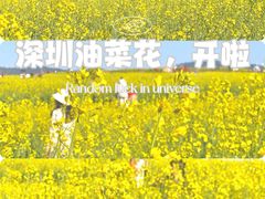 -光明小镇欢乐田园