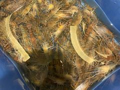 -隅乐胡椒虾·台湾菜·团建(皇岗店)
