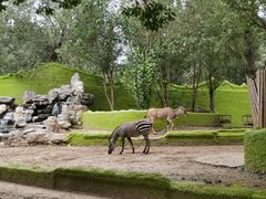 -北京野生动物园