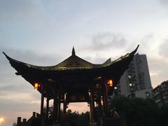 -运河游船(武林门码头)