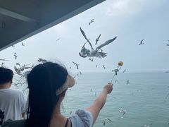 -海驴岛(荣成市)