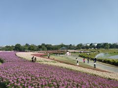 -径山花海