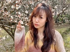 -香雪海