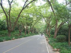 -紫金山天文台