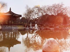 -西安青龙寺遗址景区