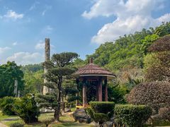 -深圳仙湖植物园