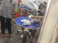-PETKIT小佩宠物(古北店)
