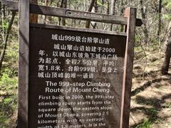 -金龙寺国家森林公园