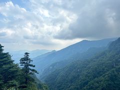 -牛背梁国家森林公园