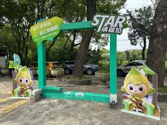 -上海佘山国家森林公园天马山园