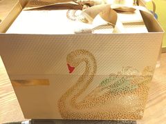 -BLACKSWAN黑天鹅(环球店)