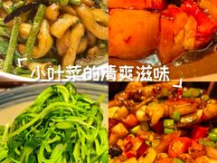 -隐厨·中国菜馆(三里屯T+MALL店)