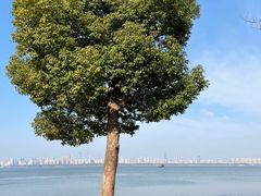-东湖生态旅游风景区