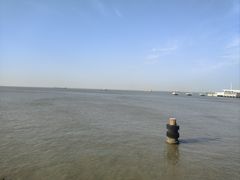 -吴淞炮台湾湿地森林公园烧烤区