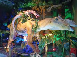 点击看大图 -恐龙探索乐园(磁器口店)