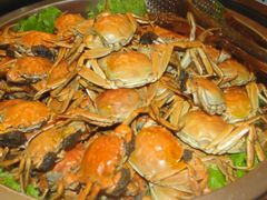 DSC08764-比尔森韩式烤肉自助(绿园店)