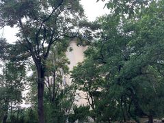 -山东师范大学(千佛山校区)