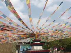 -厦门方特梦幻王国