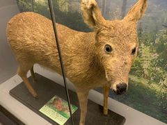 -下渚湖国家湿地公园科普馆