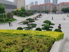 -海河外滩公园