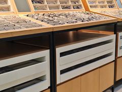 -光明眼镜·蔡司授权(徐泾店)