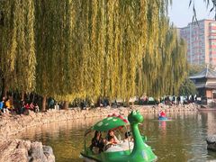 -团结湖公园