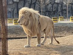 -秦皇岛野生动物园