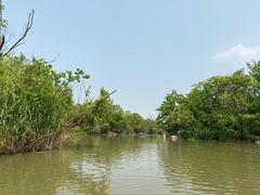 -吴淞炮台湾湿地森林公园烧烤区