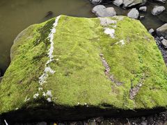 -茅兰沟国家森林公园