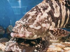 -吕氏疙瘩汤·私家菜馆(慈云寺店)